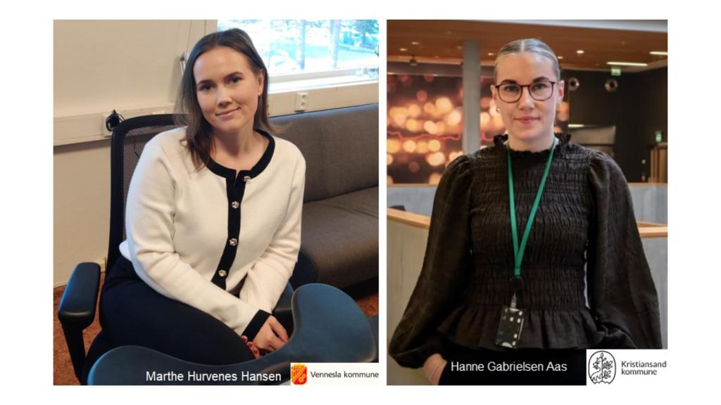 Saksbehandlere fra IKT Agder.